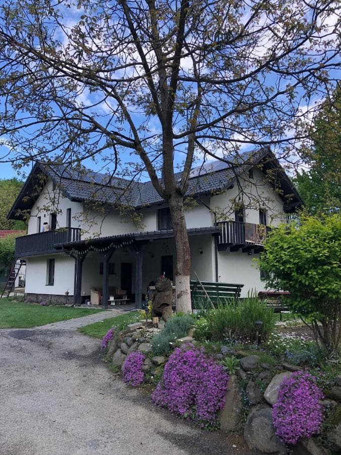 Cabana Magic House și curtea