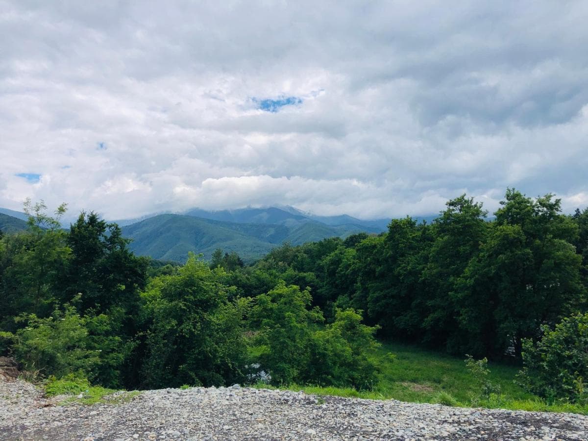 Panorama Văii Avrigului